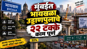 मुंबईत भायखळा उड्डाणपुलाचे २२ टक्के काम पूर्ण; प्रकल्पाला गती देण्याचे निर्देश